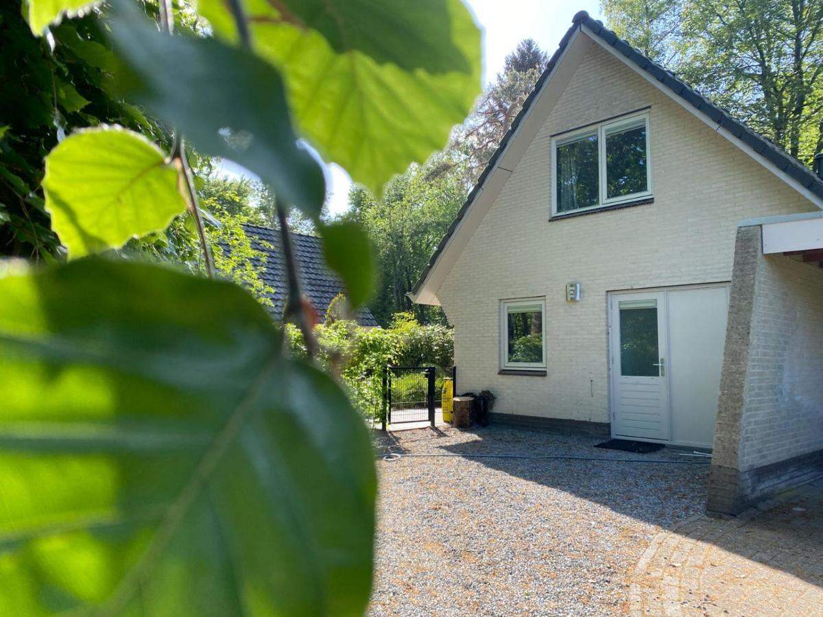 Vakantiehuis Villa Viola Epe Zewnętrze zdjęcie